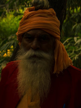 The heirs of Old Delhi Rain