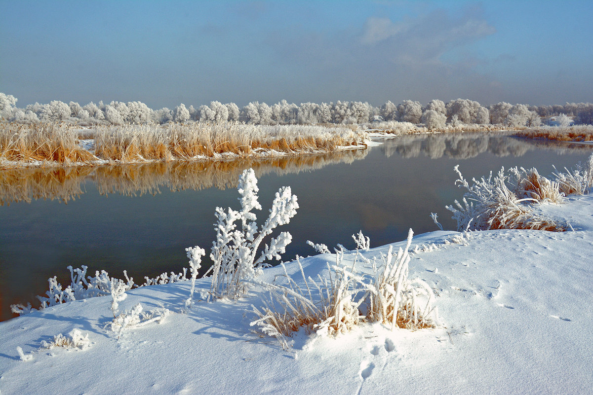 Ростовская область зима