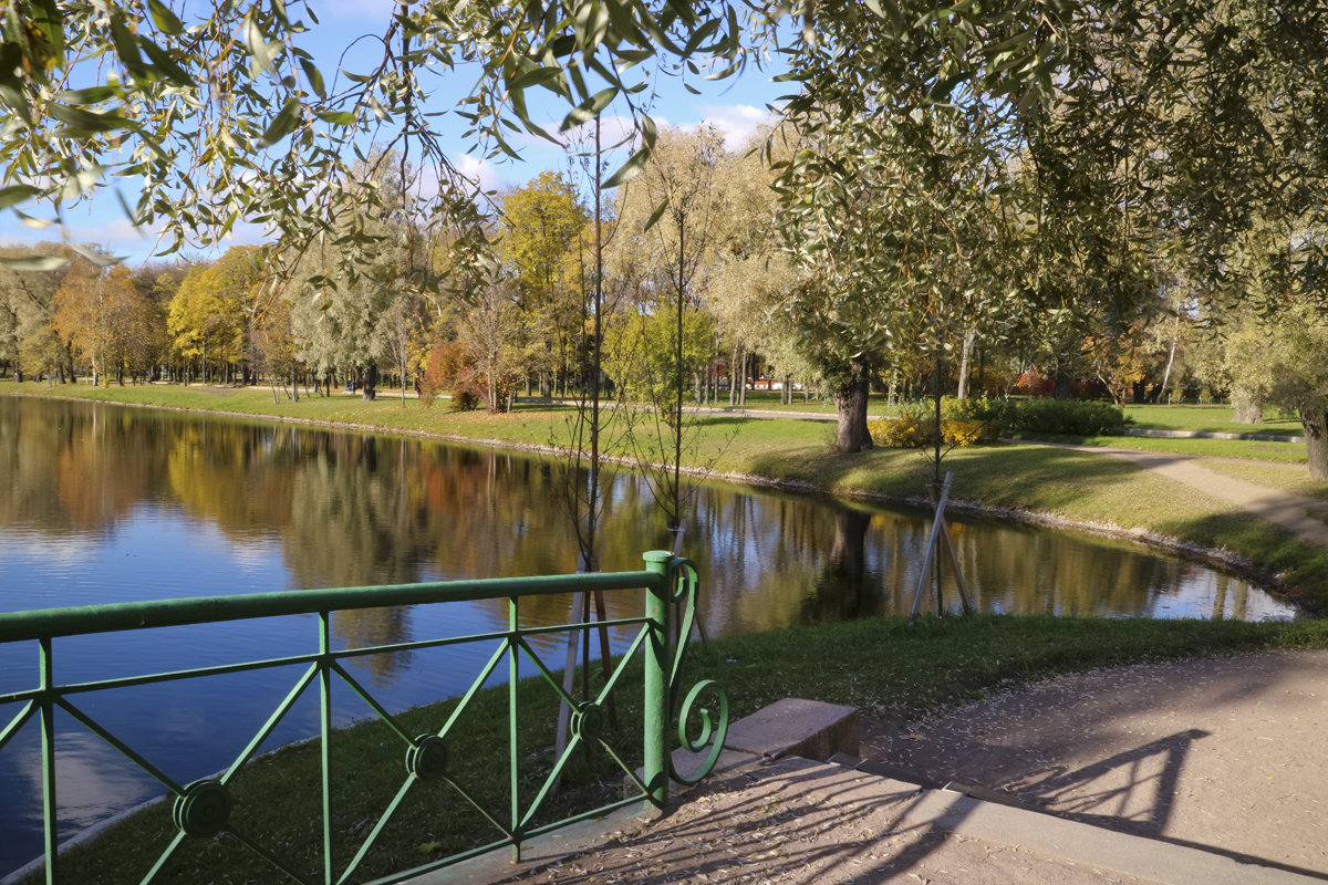 В парке - Елена К.