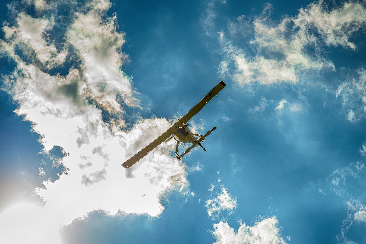 Sport airplane PZL -104 Wilga In flight - Сергей 