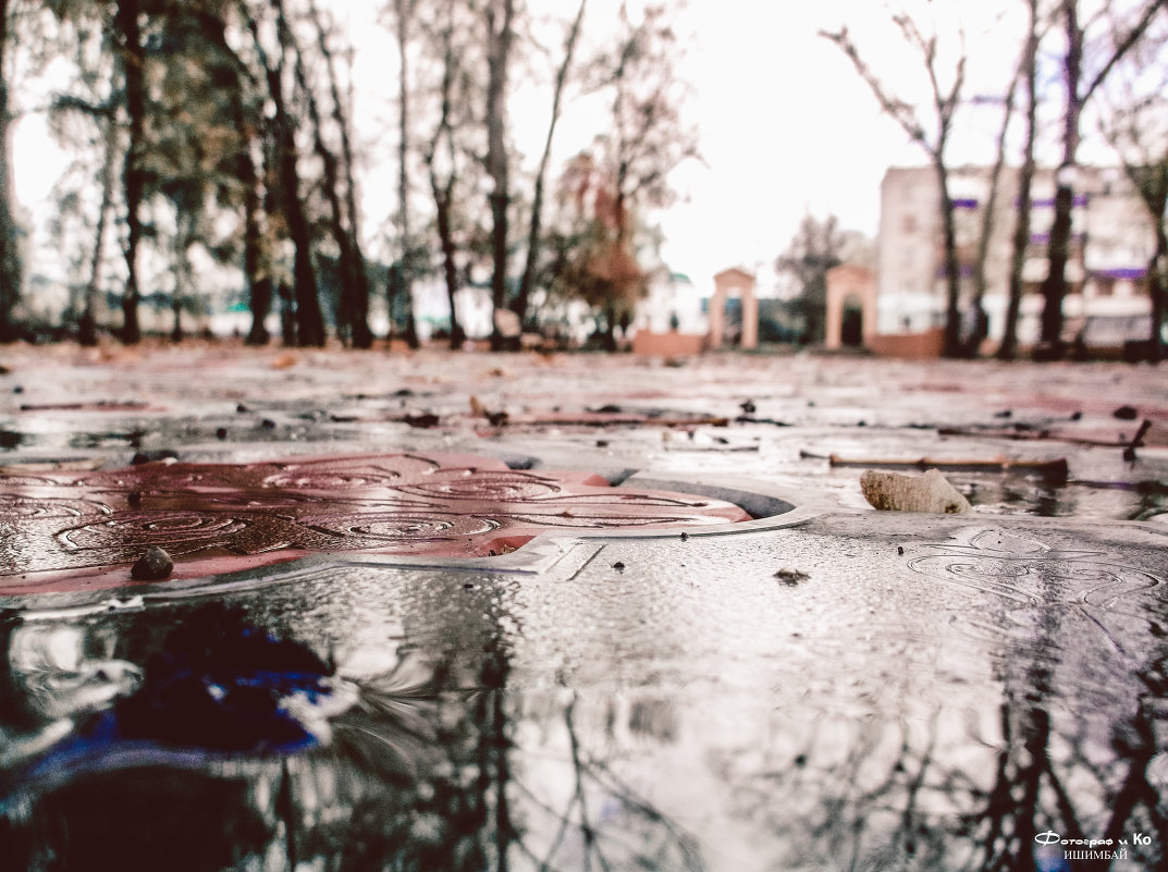 Осень, после дождя - Вячеслав Баширов