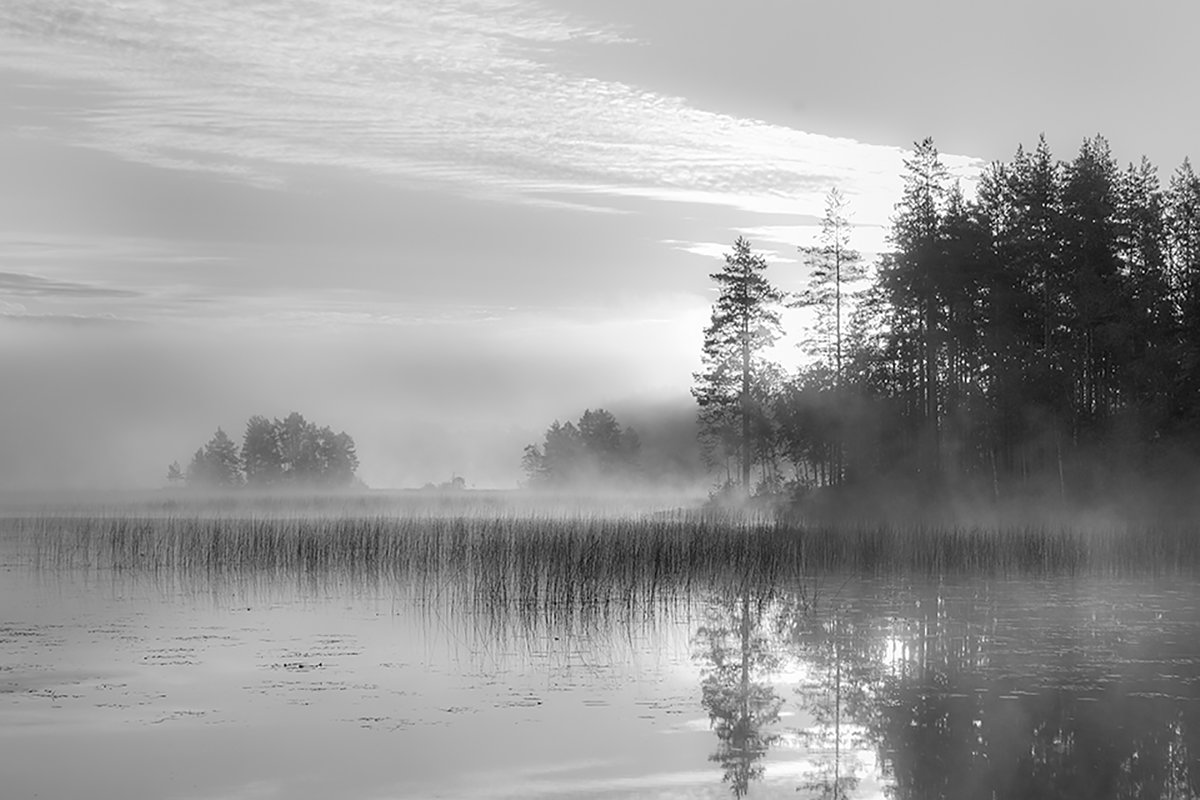 Утро на озере - Андрей Жуков