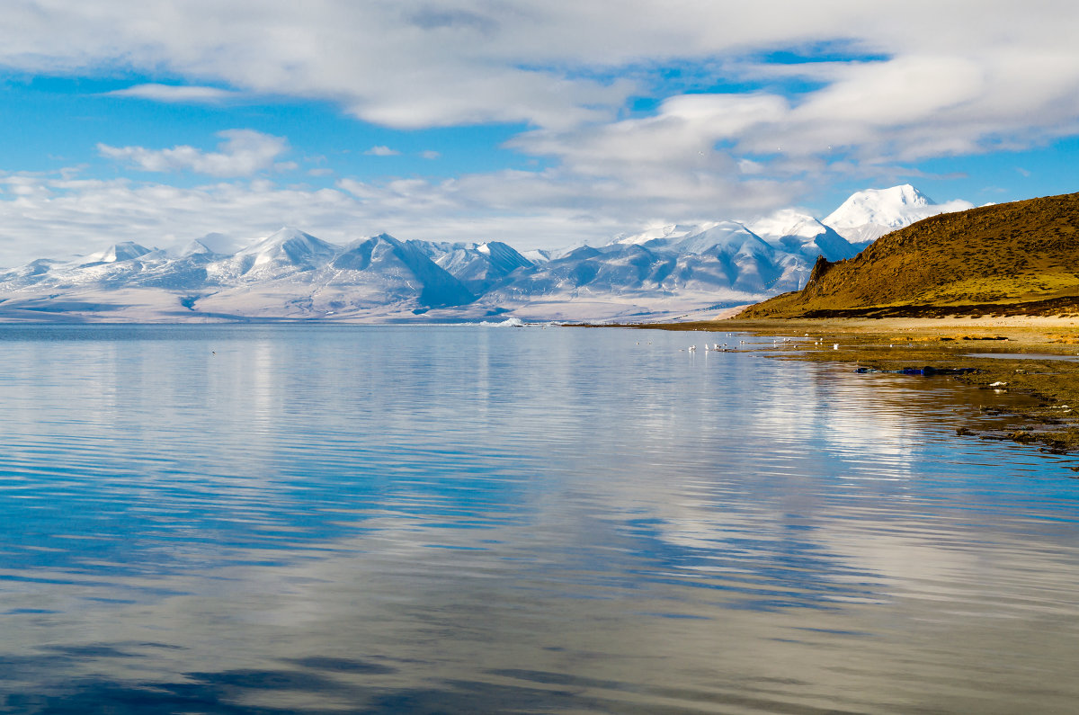 Озеро Манасаровар. Тибет - Наталья Лихащенко