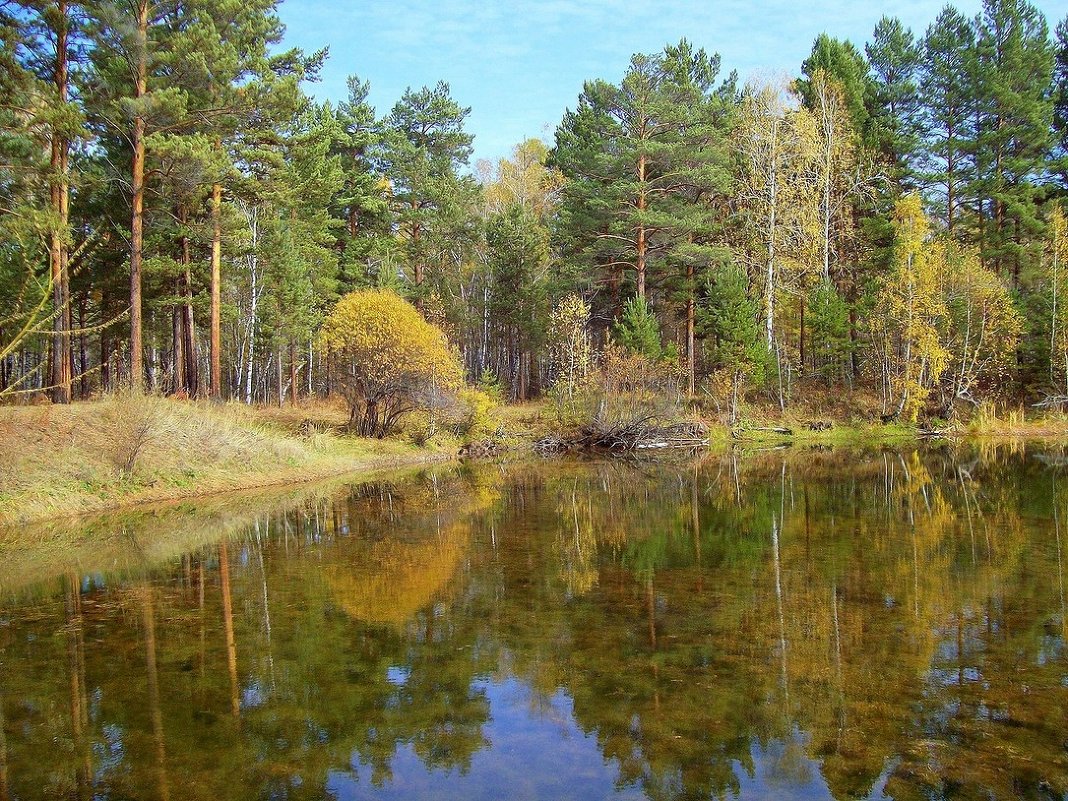 Лесное озеро - alemigun 