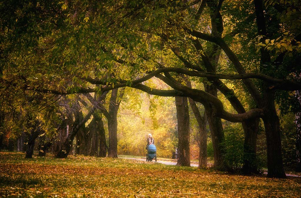 Осенний парк - Татьяна 