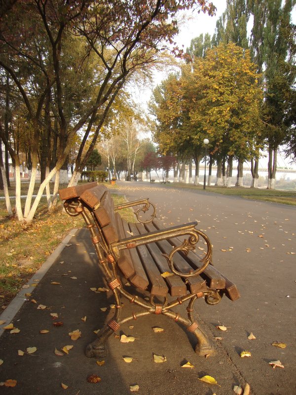 В ожидании влюблённых. - Александр 