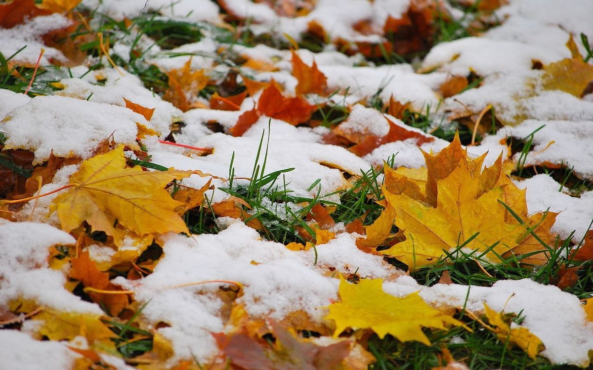 Осень Под Снегом - Данила 