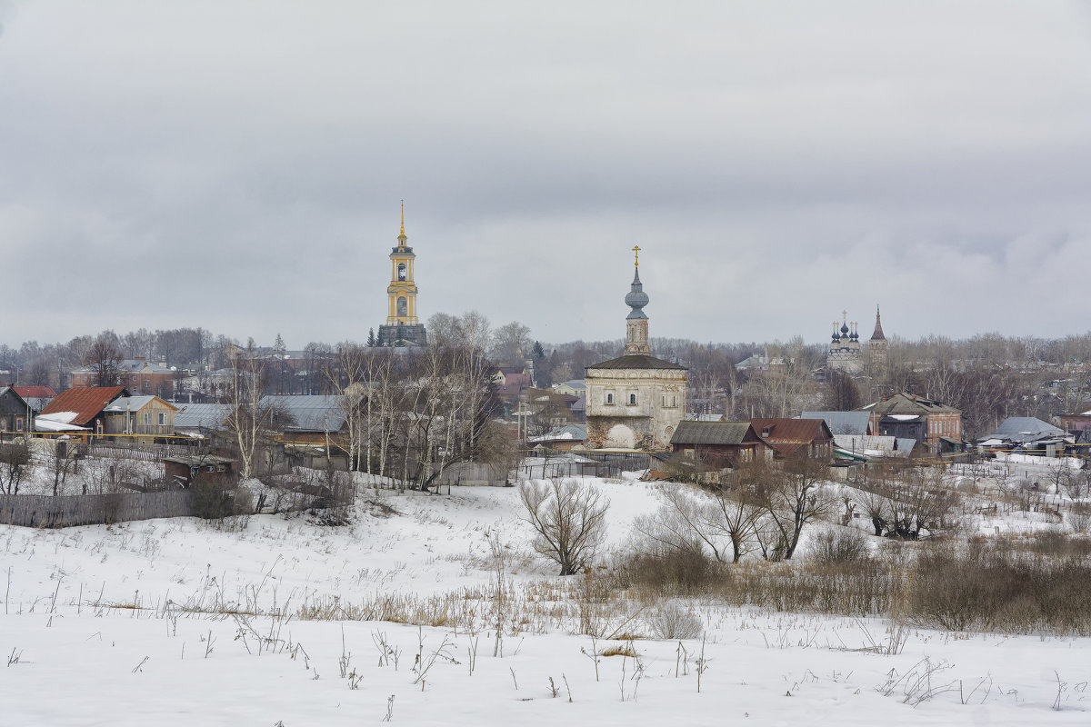 скоро прилетят грачи... - Moscow.Salnikov Сальников Сергей Георгиевич