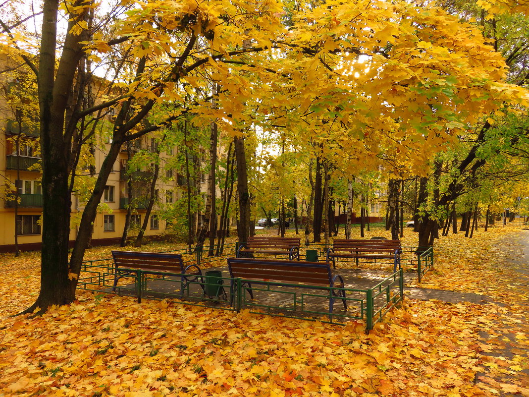 Осень не первоначальная в городе - Андрей Лукьянов