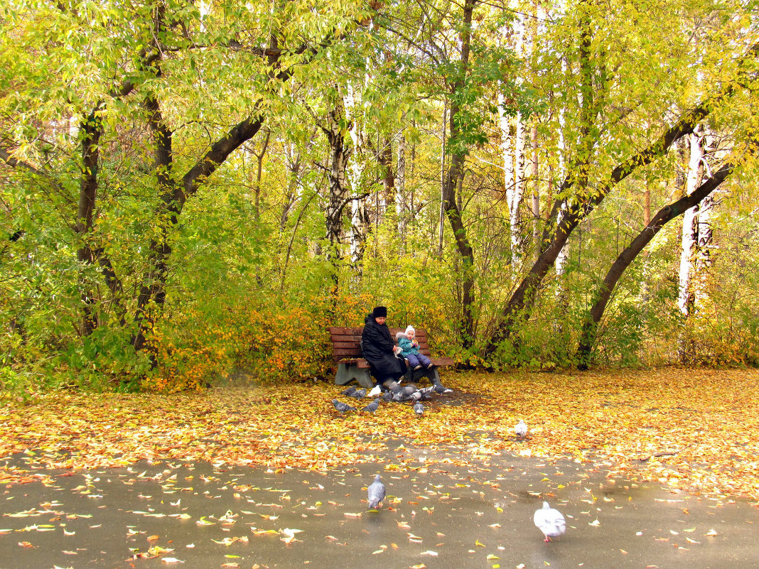 Прогулка в парке - Елена Осетрова