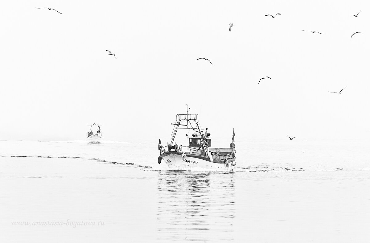 Рыбаки возвращаются утром - Анастасия Богатова