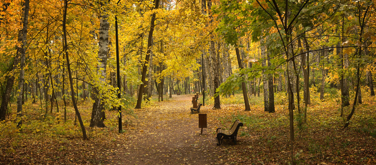 Осень в Нескучном саду - Михаил Танин 