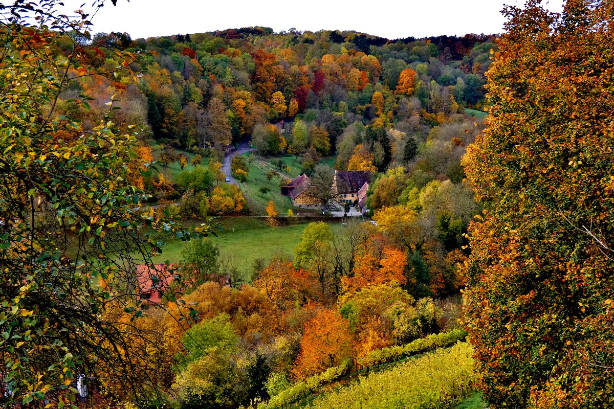 Золотая осень  в  долине  Таубер - backareva.irina Бакарева