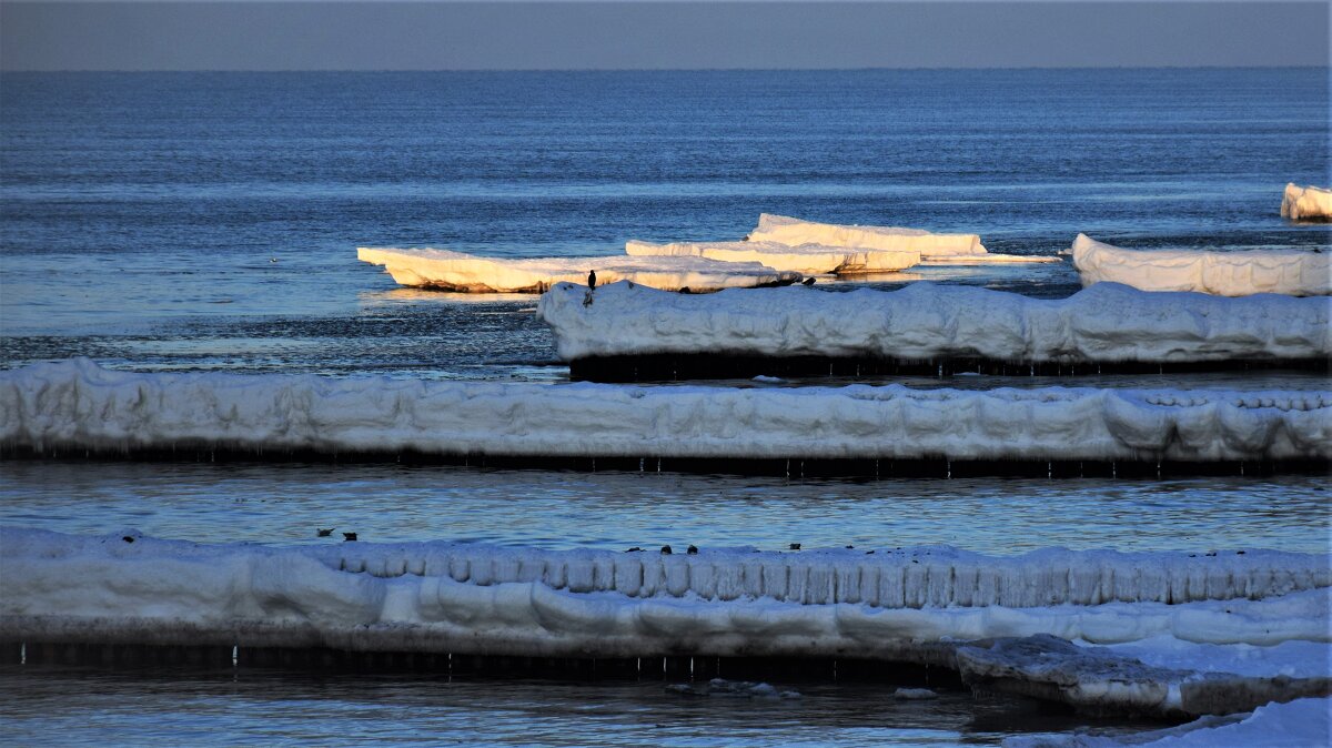 Замерзающая Балтика - Марина 
