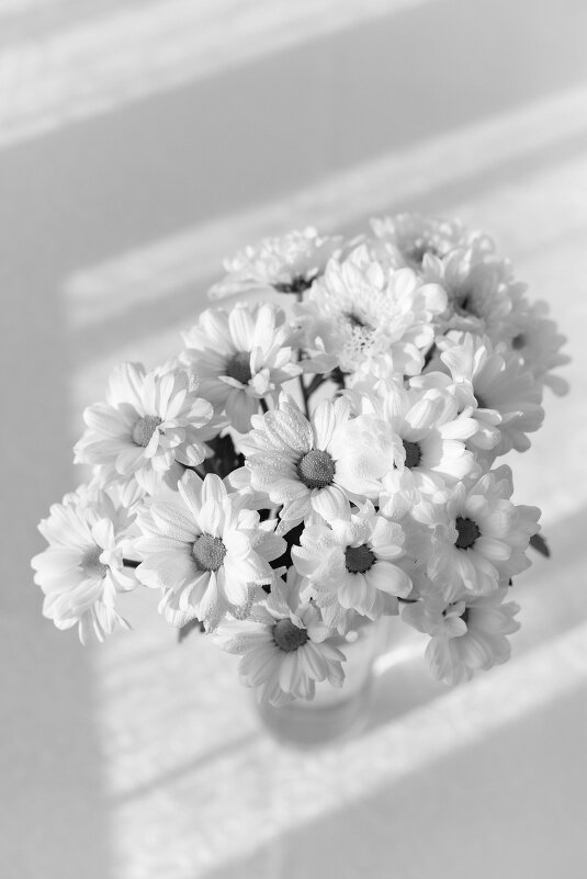 Букет хризантем в чёрно-белом цвете - Ksenija Mudryaninets