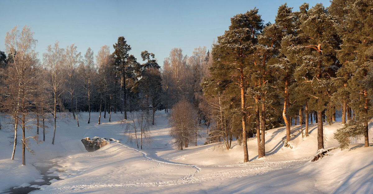 Морозный солнечный денёк (панорама) - vladimir 