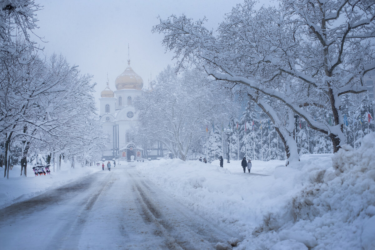 Зима в Краснодаре - Нина Исупова 