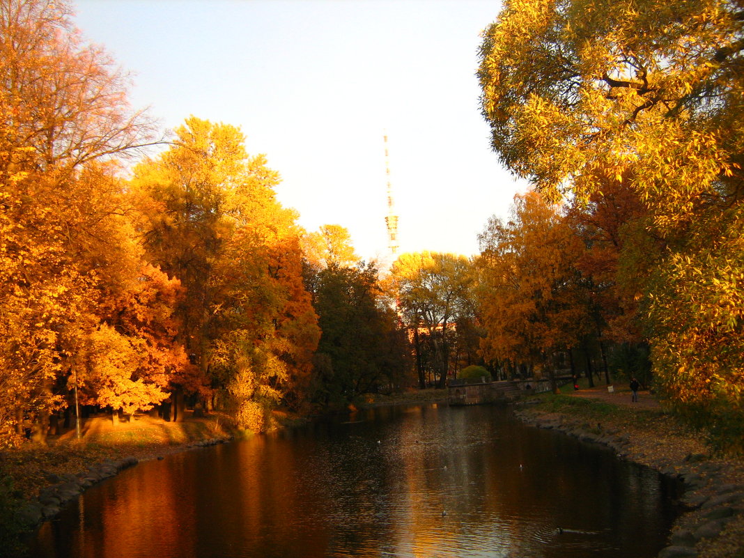 Золотая осень в Санкт-Перебурге 2013 - Рената 