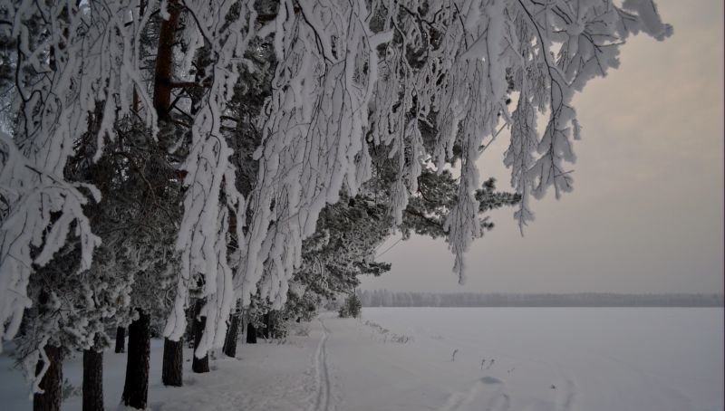 морозное утро - Сергей Розанов