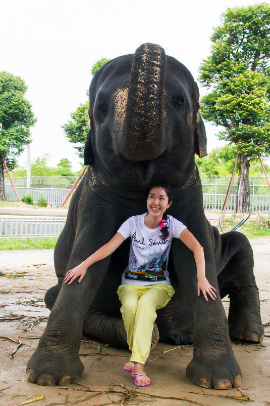 Девочка и слон - AzharA 