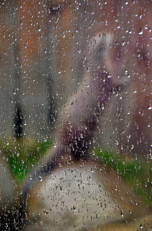 Суслик под дождем - Ирина 