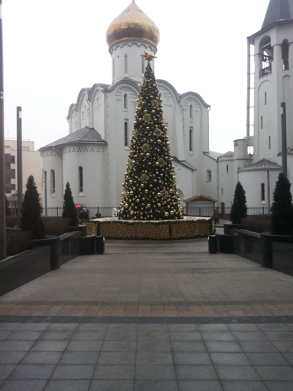 Новогодняя елка на Белой площади - Владимир Прокофьев