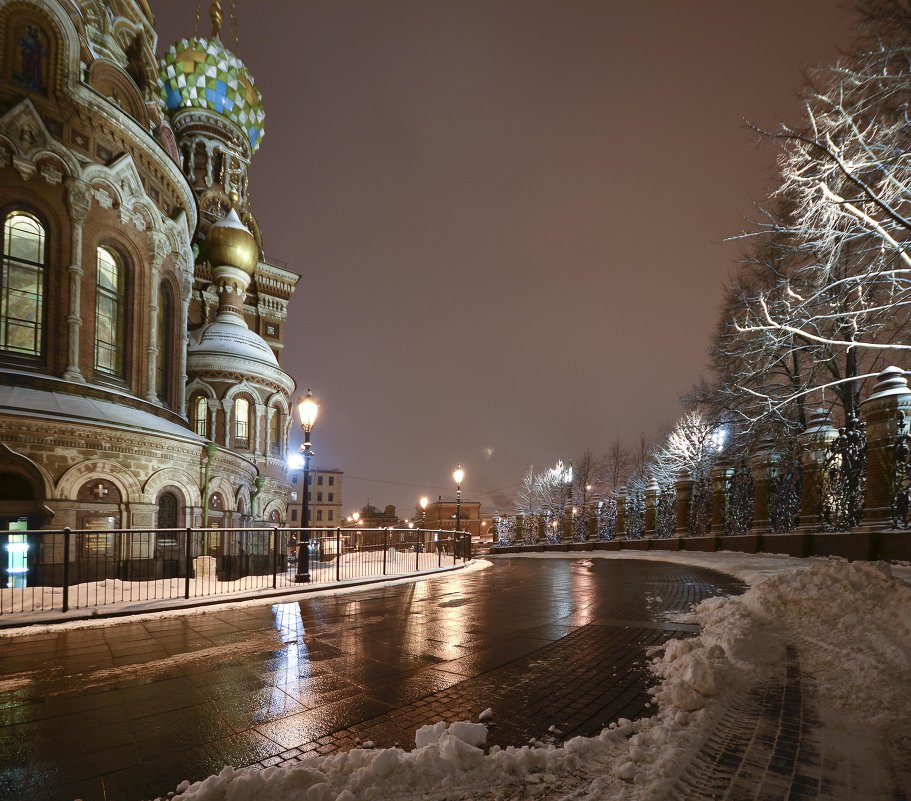 пешком по городу - ник. петрович земцов