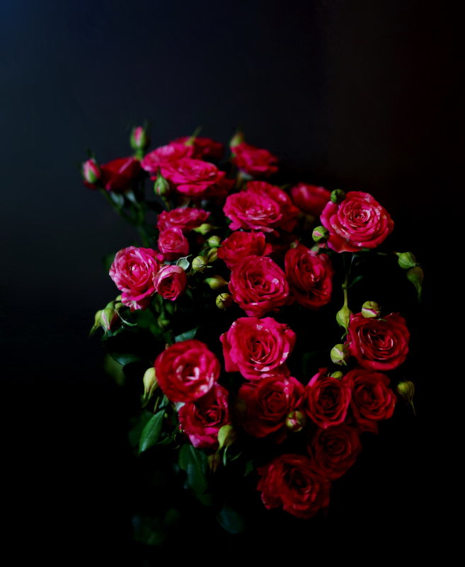 Весенние розы - Михаил Новиков