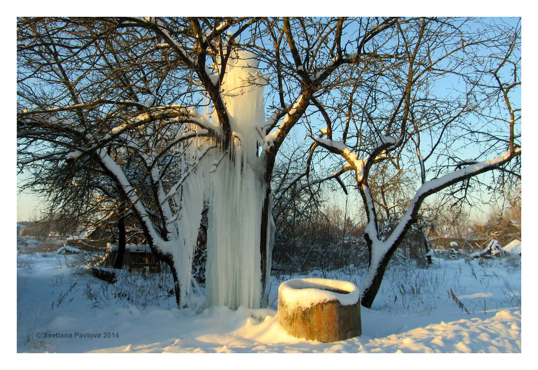 Дерево "Ледяной фонтан" - Светлана Павлова