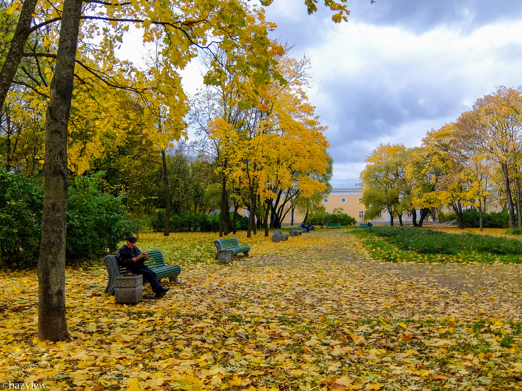 осенняя грусть - Сергей Базылев