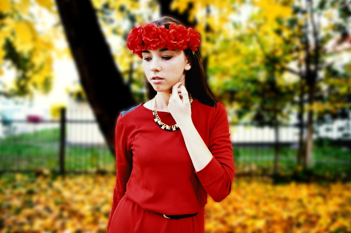 Wreath of red roses - Алексей Горбатько