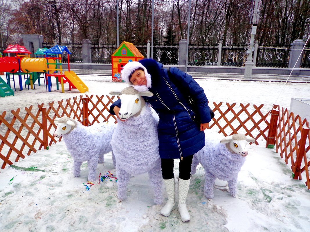 В мой Новый год с моими овечками. - Татьяна Рудникова