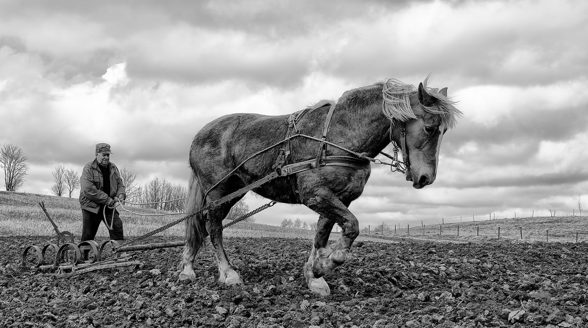 Tverai - Sutkus Rolandas