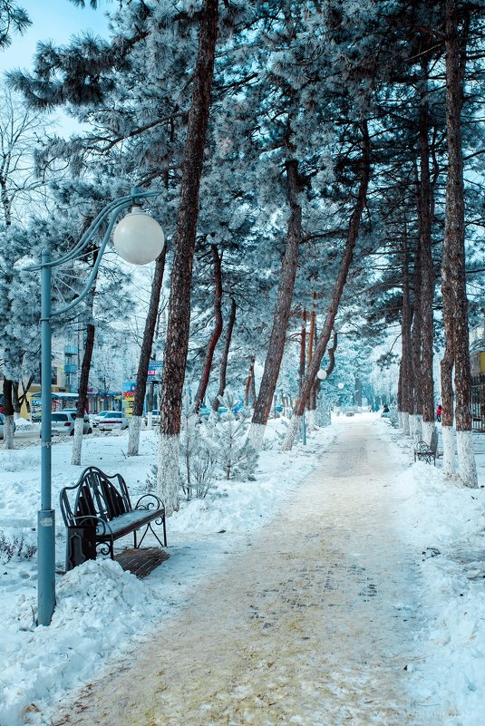 Два снежных дня - Дмитрий Катин