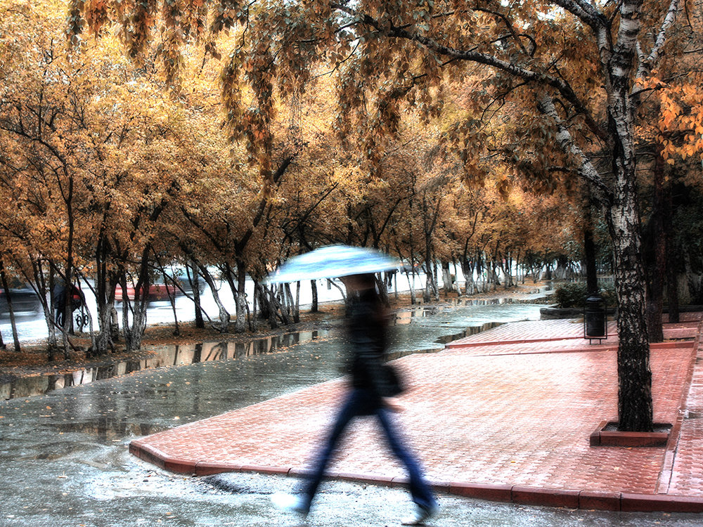 Осенний дождь - Сергей Елесин