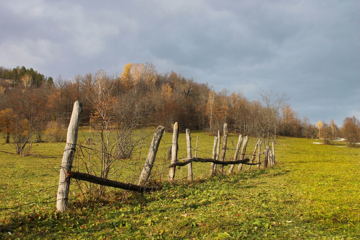 Осень - Регина Богомолова