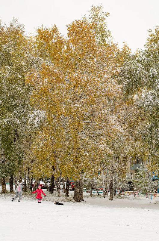 Первый снег - Мария Панькова
