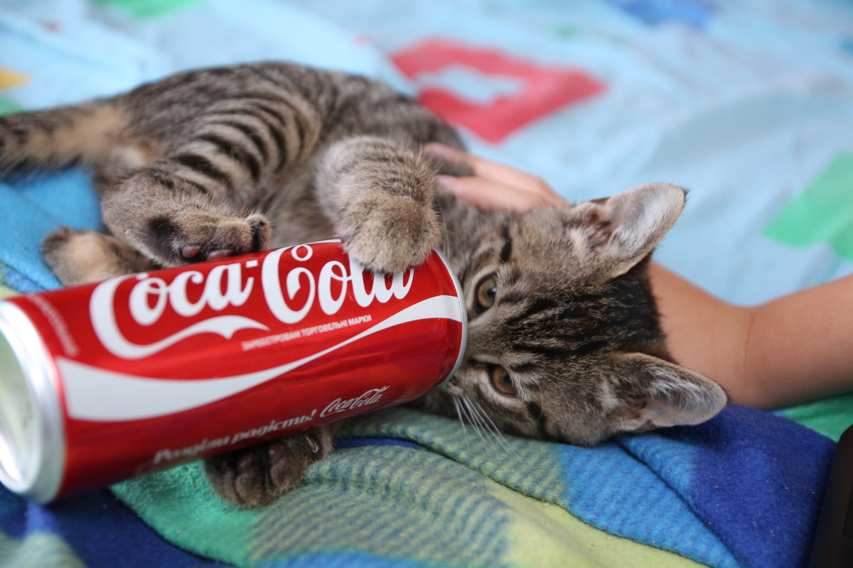 А Вы любите Кока-Колу как люблю ее я ? :) - Павел Прозоров