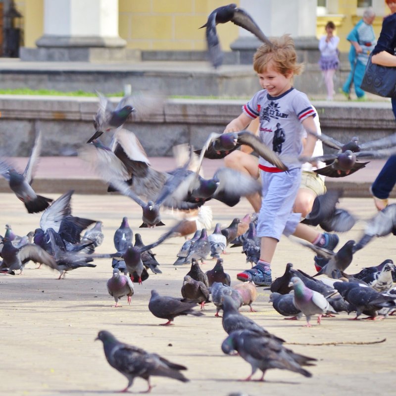 ... - Дмитрий Бабаев