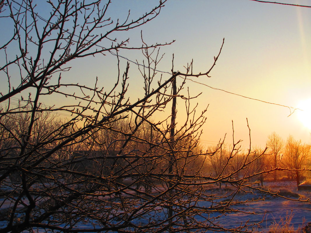 Зимнее утро - SvitlanaCH 