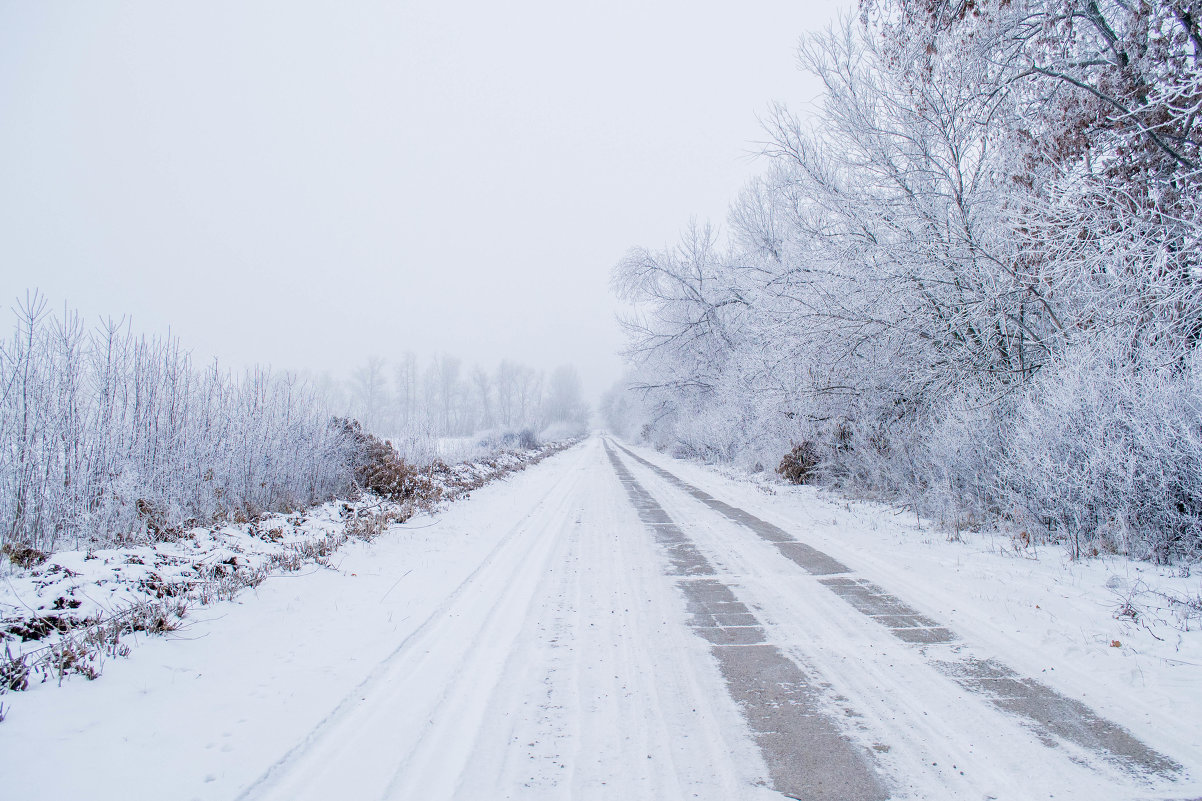 Дорога в зиму - Леся Українка