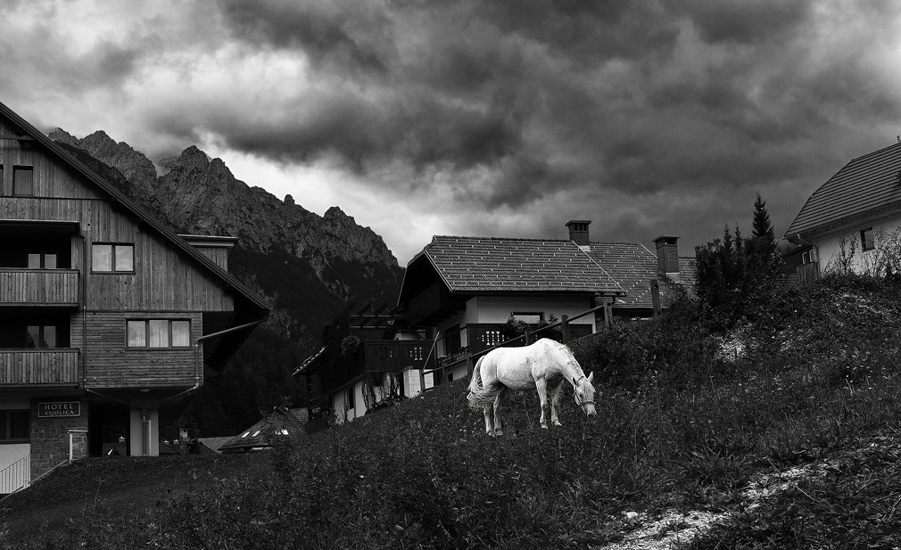Белая лошадь (Владимир Кремер) - Владимир_39 