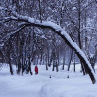 Февральская картинка :: Анатолий И.