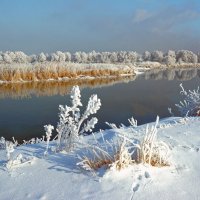 Зимняя река. :: Евгений Кузнецов