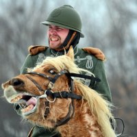 Смешались в кучу кони, люди... :: Дмитрий 