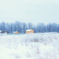 В зимнем поле :: Екатерина Асатурова