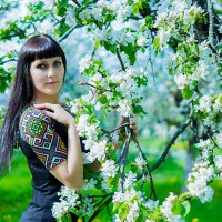 Цветущий сад :: Татьяна Захарова