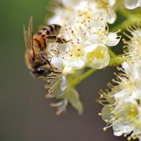 ... :: Александр Рождественский