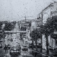 Дождь. :: Юлия Копыткина