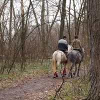 Апрель. Подснежники. Любовь :: София 